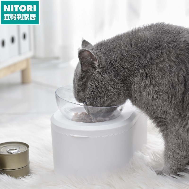 日本进口便宜得利猫碗斜口双碗保护颈椎猫食盆猫咪粮碗宠物狗盆狗