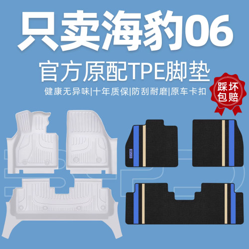 【比亚迪原厂级】海豹06DMi脚垫