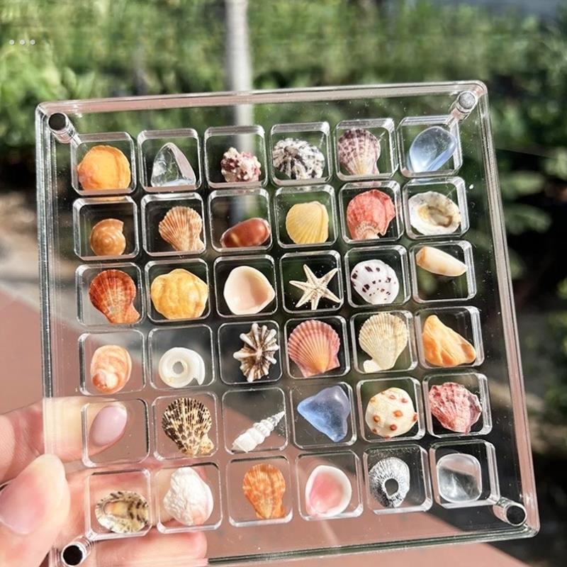 亚克力贝壳收纳盒透明展示盒装海边海星标本海螺相框磁吸收集盒子