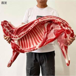 羊排 仿真生羊肉 假菜样品生肉条 食品模型 半边羊菜品 羊腿山羊
