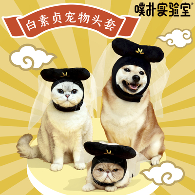 噗扑实验室法海白素贞装扮