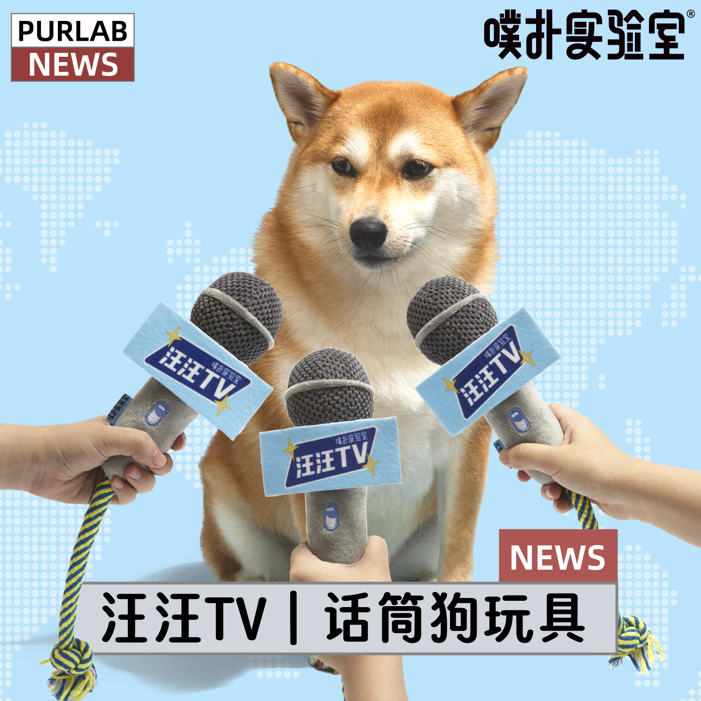 噗扑实验室狗狗话筒KTV绳结玩具发声磨牙发声宠物用品耐咬狗玩具