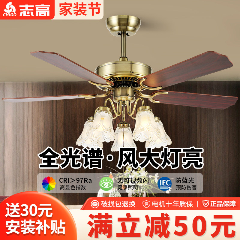 铁扇叶客厅餐厅吊扇灯