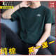 短袖 圆领薄款 t恤纯棉半袖 新款 体恤 上衣服2026夏季 啄木鸟中年男士