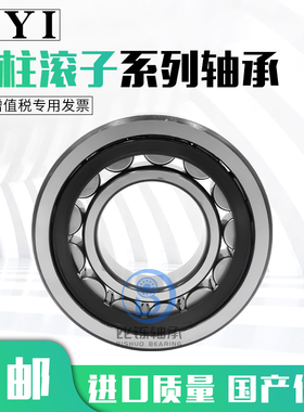 RN306EM 307 308 309 310 312 313 328减速机偏心轴承 圆柱滚子