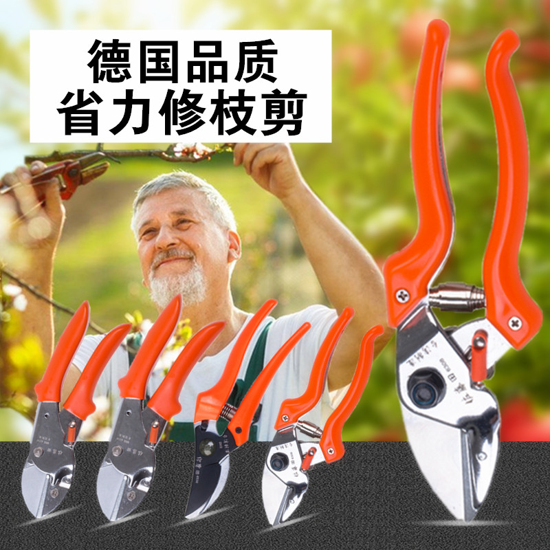 果树省力修枝剪刀园艺剪刀粗枝修枝剪花木园林剪枝剪刀树枝果树剪图片