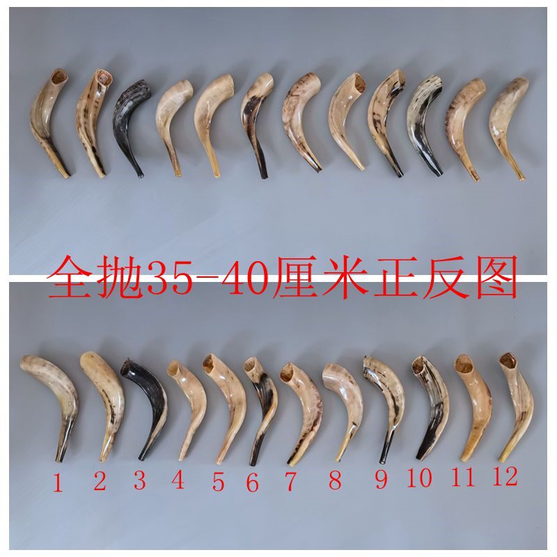 上海以色列天然真角号角rams horn shofar 小号羊角号