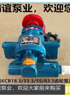 高温电动齿轮泵KCB18.3/33.3/55/83.3自吸泵齿轮油泵液压油抽油泵