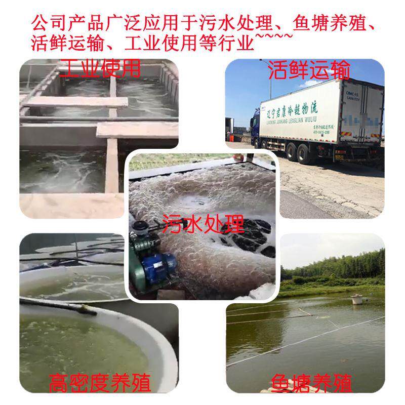 高压曝气机正林两叶三叶罗茨鼓风机鱼塘增氧泵运鲜车养殖污水处理