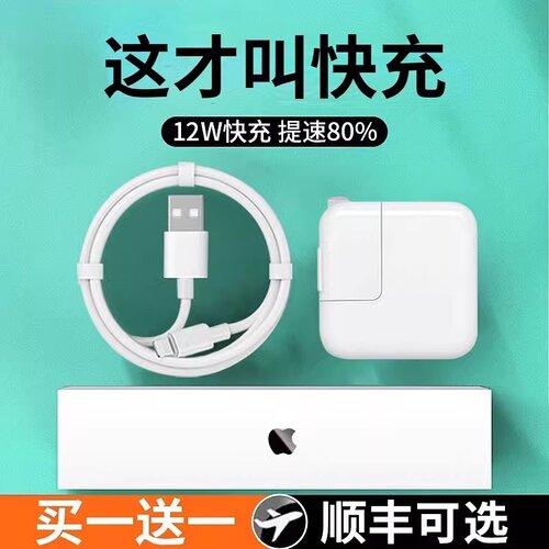 ipad数据线适用Air/mini/2/3/4/5/6/Pro平板电脑iPhone7手机8快充xs充电器闪充插头11/12/xr充电极速套装18w