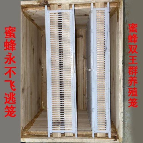 单框双框蜂王控产器蜜蜂防逃片中蜂意蜂双王群养的养殖笼