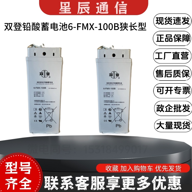 双登12V100Ah铅酸电池6-FMX-100B