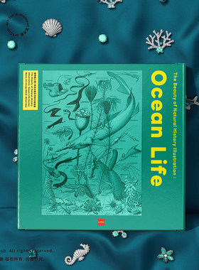海洋博物画系列单片画盲盒