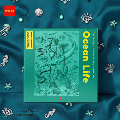 海洋博物画系列单片画盲盒
