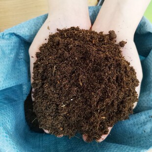 腐熟松针腐殖土腐叶土多肉绿萝营养土种菜通用黑土种花土壤泥炭土