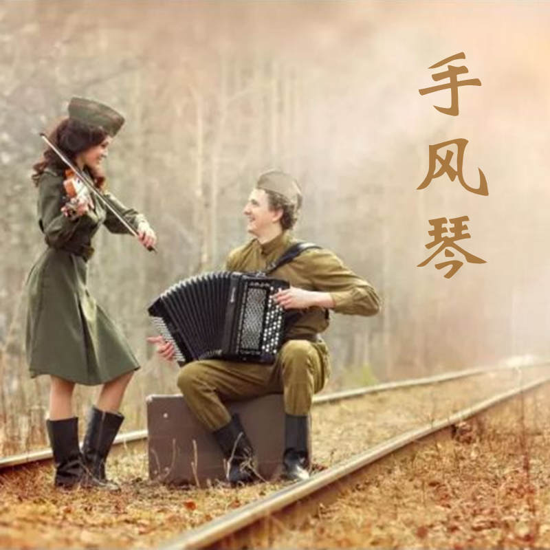 精选259首手风琴轻音乐MP3演奏曲通用U盘优盘浪漫音频歌曲高音质