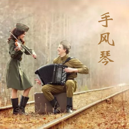 精选259首手风琴轻音乐MP3演奏曲通用U盘优盘浪漫音频歌曲高音质
