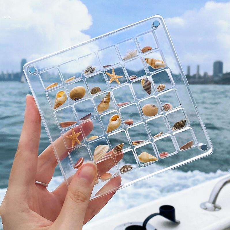 贝壳收纳盒磁吸压克力相框海螺展示盒透明海边装海星标本收集盒子