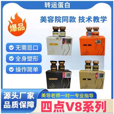 新款加强版转运蛋白 四点v8暴品王一秒三秒6S一对一技术指导