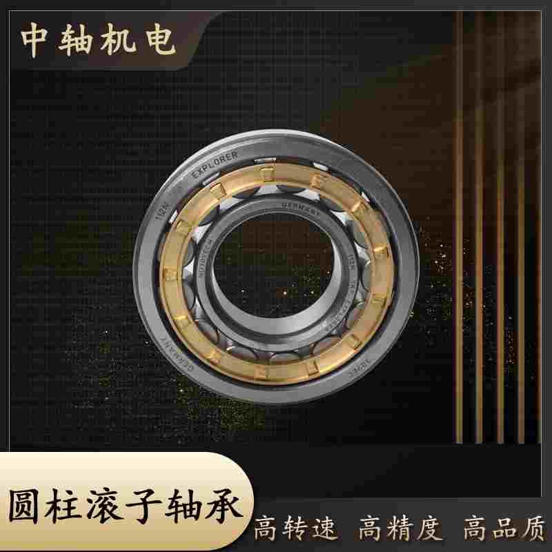 LYC洛阳圆柱滚子轴承N NU NJ312 313 314 315 316 317 318 319EM