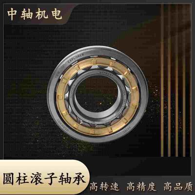 LYC洛阳圆柱滚子轴承N NU NJ312 313 314 315 316 317 318 319EM