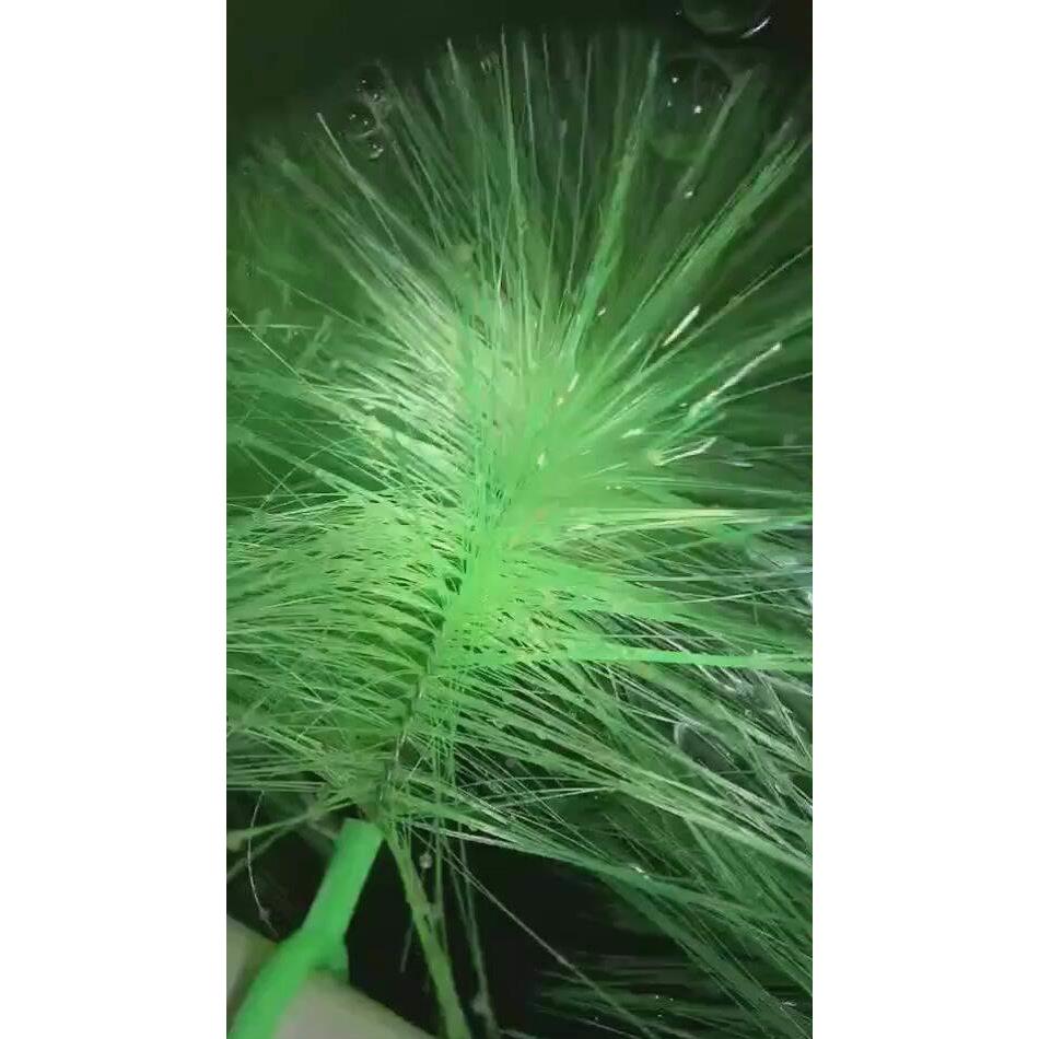 锦鲤产卵鱼巢观赏鱼养殖场繁殖孵卵毛草刷金鱼专用鱼卵孵化草鱼巢