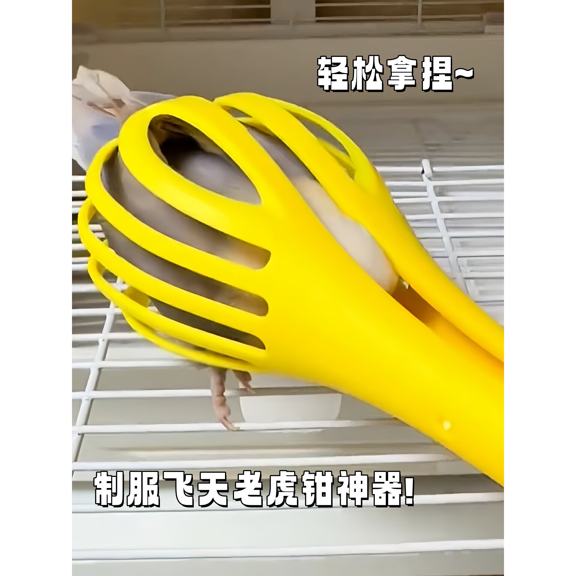 抓鸟神器鹦鹉互动防咬伤夹子牡丹玄凤和尚多功能防抓不伤鸟玩具