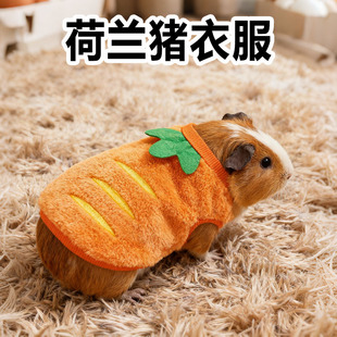 荷兰猪衣服专用豚鼠好看保暖可爱冬天新款宠物小号服饰用品装扮