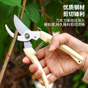 不锈钢修枝剪采摘水果花木剪园林果树花卉枝嫁接园艺剪刀树粗枝剪