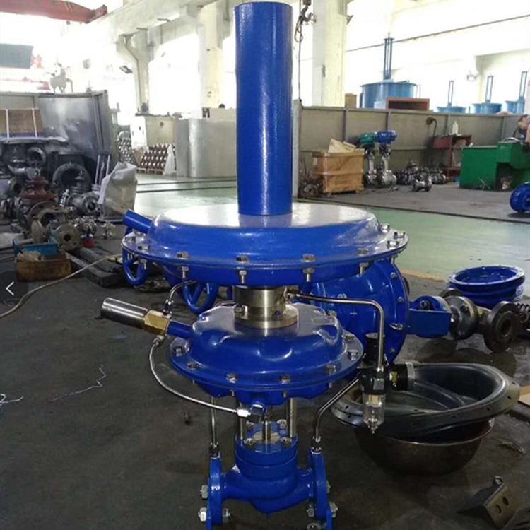 ZZDQ 自力式氮封阀.