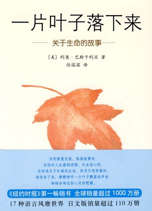 一片叶子落下来:关于生命的故事