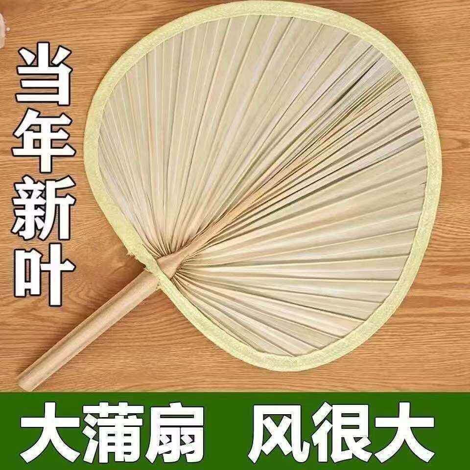 扇子大芭蕉扇子老式家用济公扇葵扇新款蒲扇夏季舞蹈烧烤扇蒲草扇