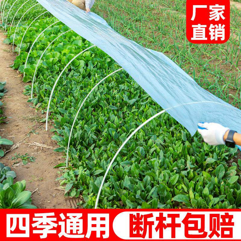 大棚骨架玻璃纤维小拱棚支架搭棚家用蔬菜塑料温室大棚拱杆玻璃钢