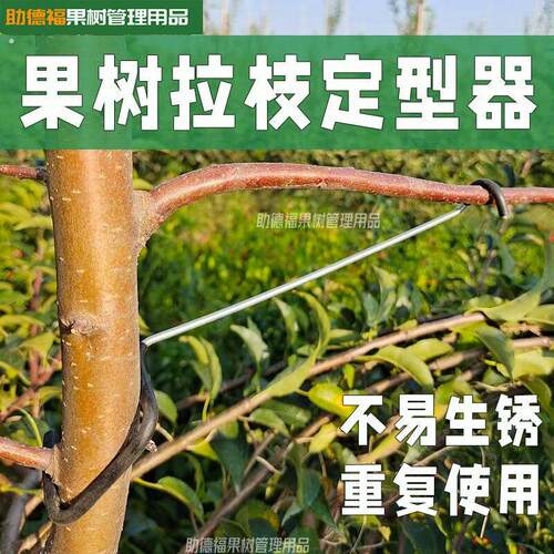 果树拉枝定型器弯枝开角器弯枝器果树压枝定型器神器热镀锌加粗