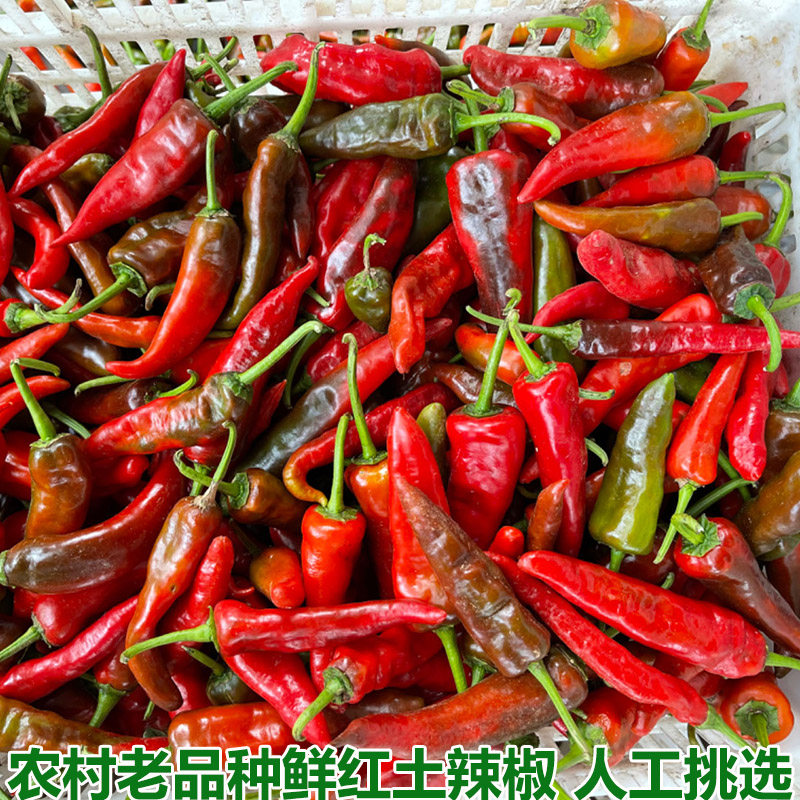 湖北新鲜红辣椒紫红辣椒红尖椒腌泡椒剁椒农家蔬菜自种土辣椒包邮
