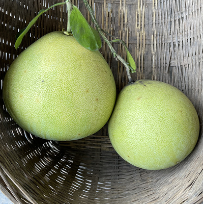 高山农家自种白柚新鲜白肉蜜柚当季白心酸柚子孕妇水果精选包邮