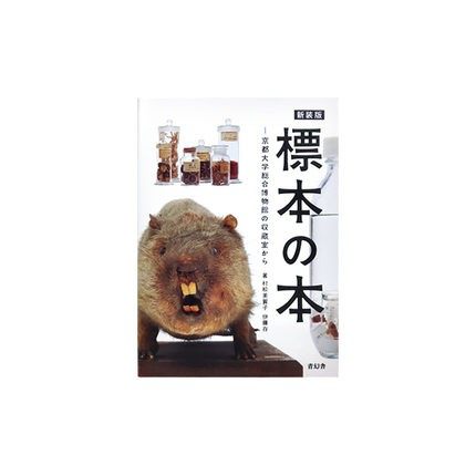 现货標本京都大学博物化石