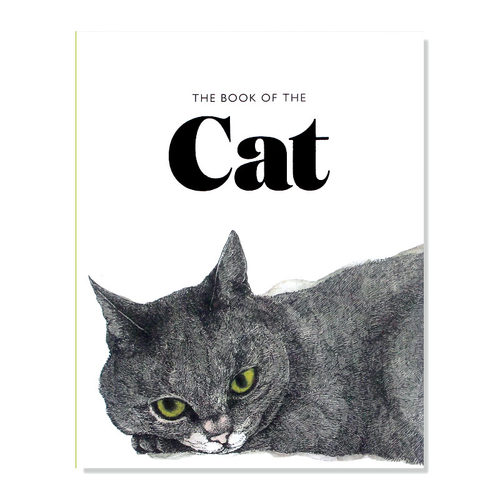 正版猫插图艺术绘画作