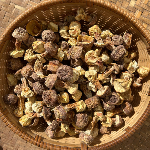 神农架姬松茸干货原色松茸菌煲汤