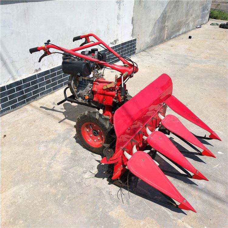 乐丰手扶自走式稻麦收割机 水稻小麦割晒机 苜蓿收割机图片