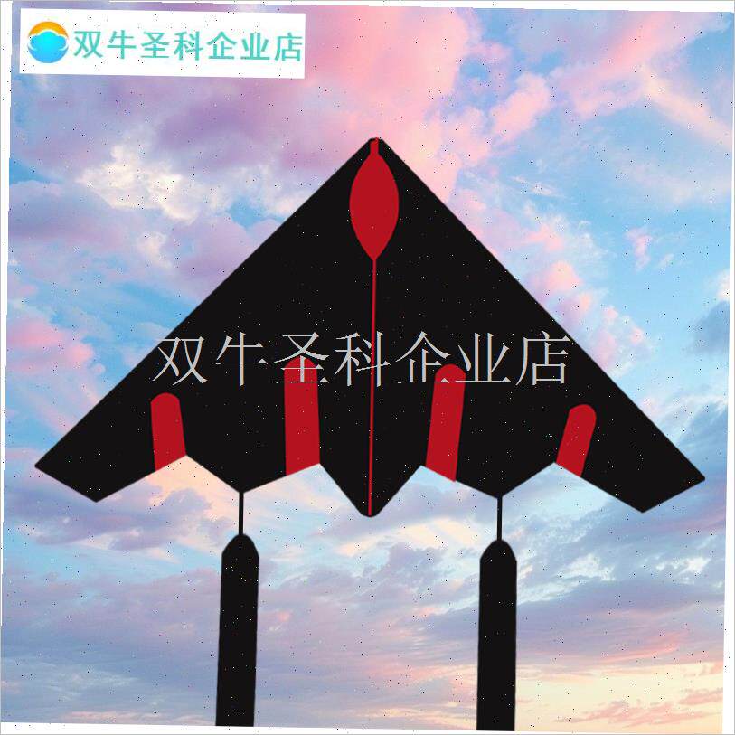 新款飞机伞布碳i杆轻体风筝大人专用高档微风易飞专业云霸二代儿.