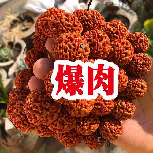 机刷印尼大金刚菩提手串