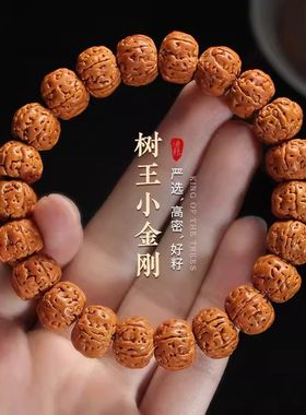 树王爆肉小金刚菩提子手串男士