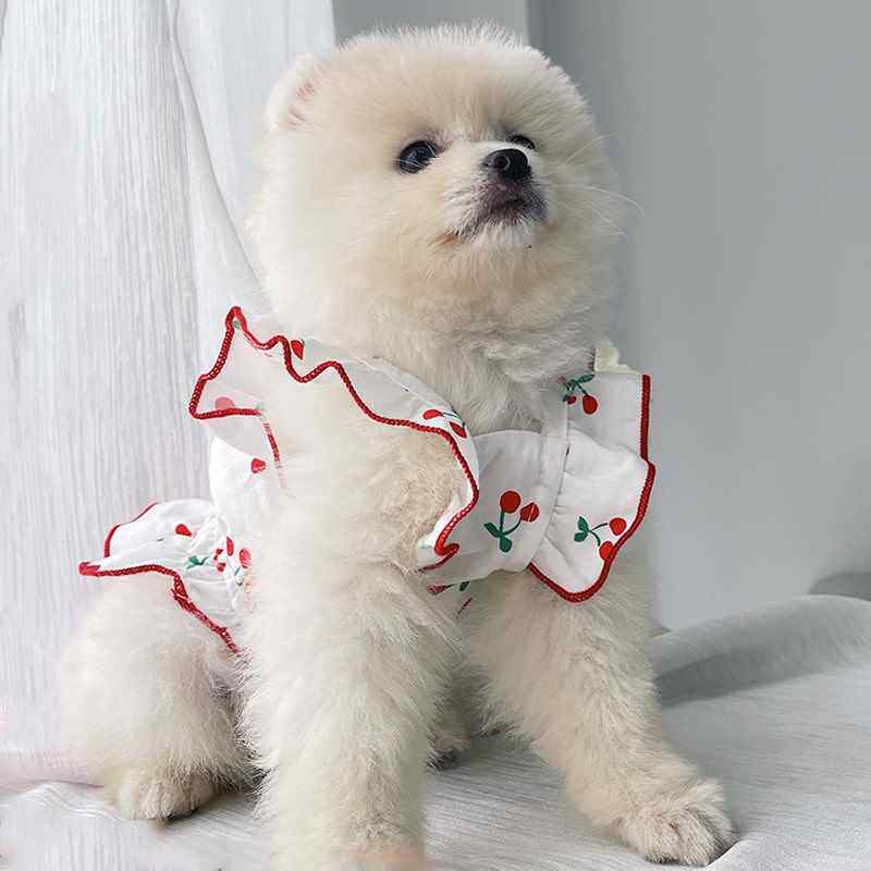 宠物衣服夏天夏季薄款比熊博美小型犬泰迪春秋款小狗春装服饰