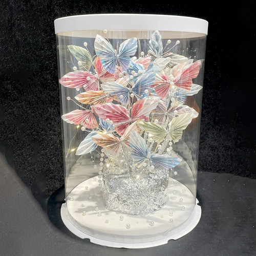 蝴蝶花束有钱花透明蛋糕盒材料包