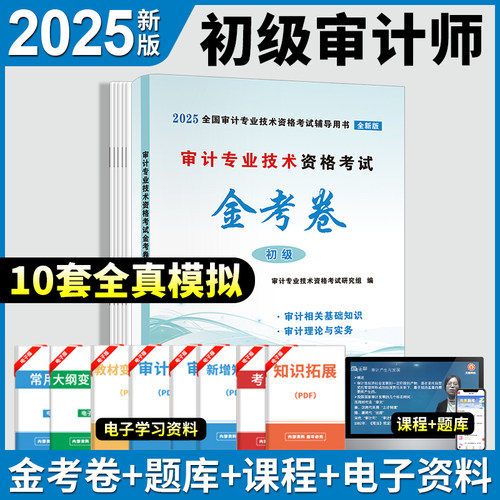 审计专业技术资格考试金考卷