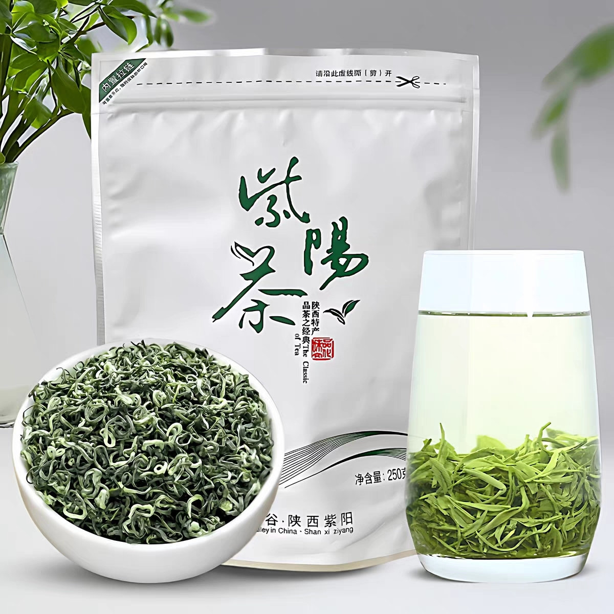 陕西安康特产紫阳毛尖明前茶叶2026新茶陕青绿茶浓香紫阳茶冲泡