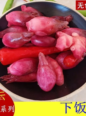 酸辣阳荷姜老坛泡制酸辣阳荷笋洋火姜陕南安康特产下饭菜酸辣开胃