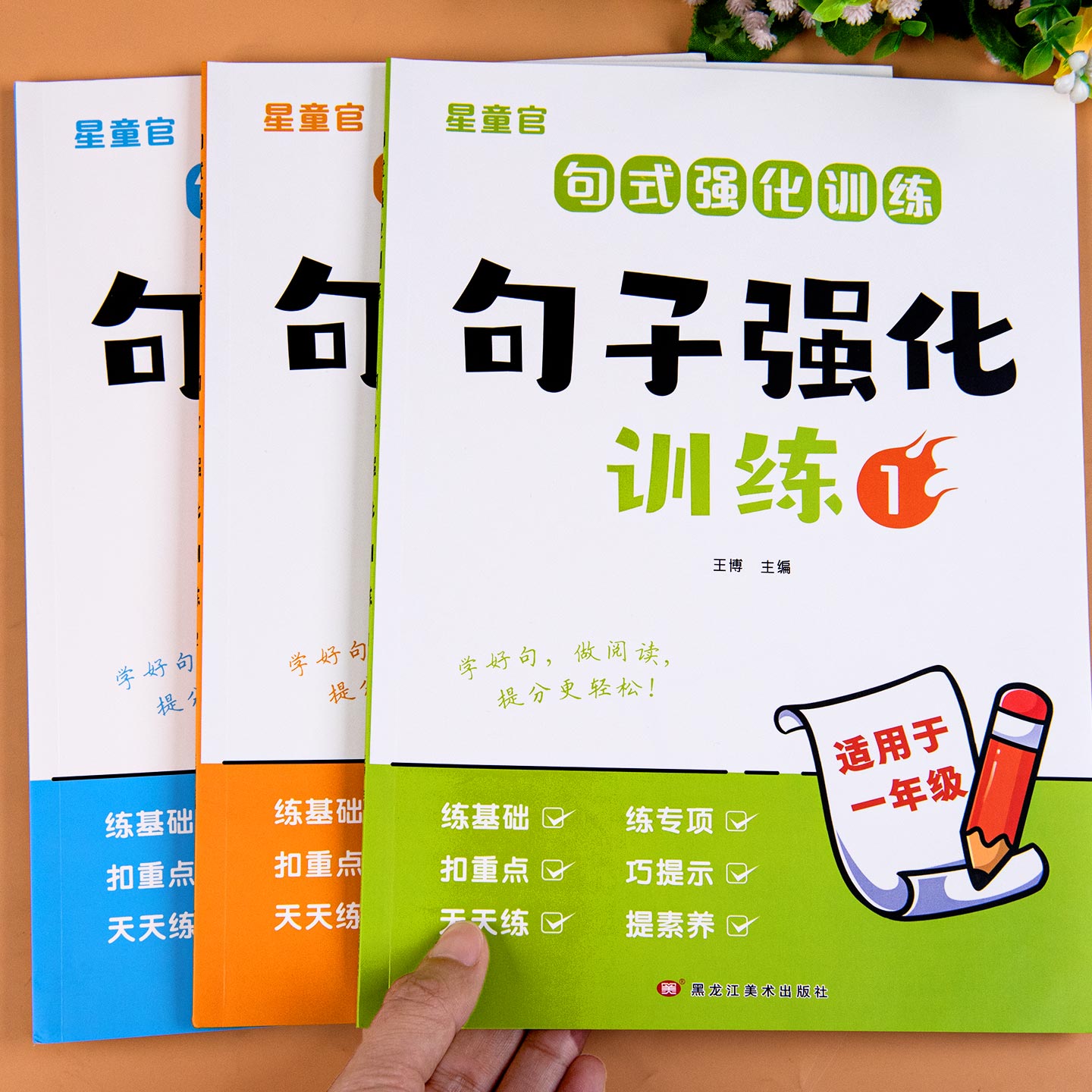 句子强化训练一年级二年级三年级句子专项练习照样子写句子大全素材仿写句子组词造句扩句连词成句被字句把字句小学句子练习题