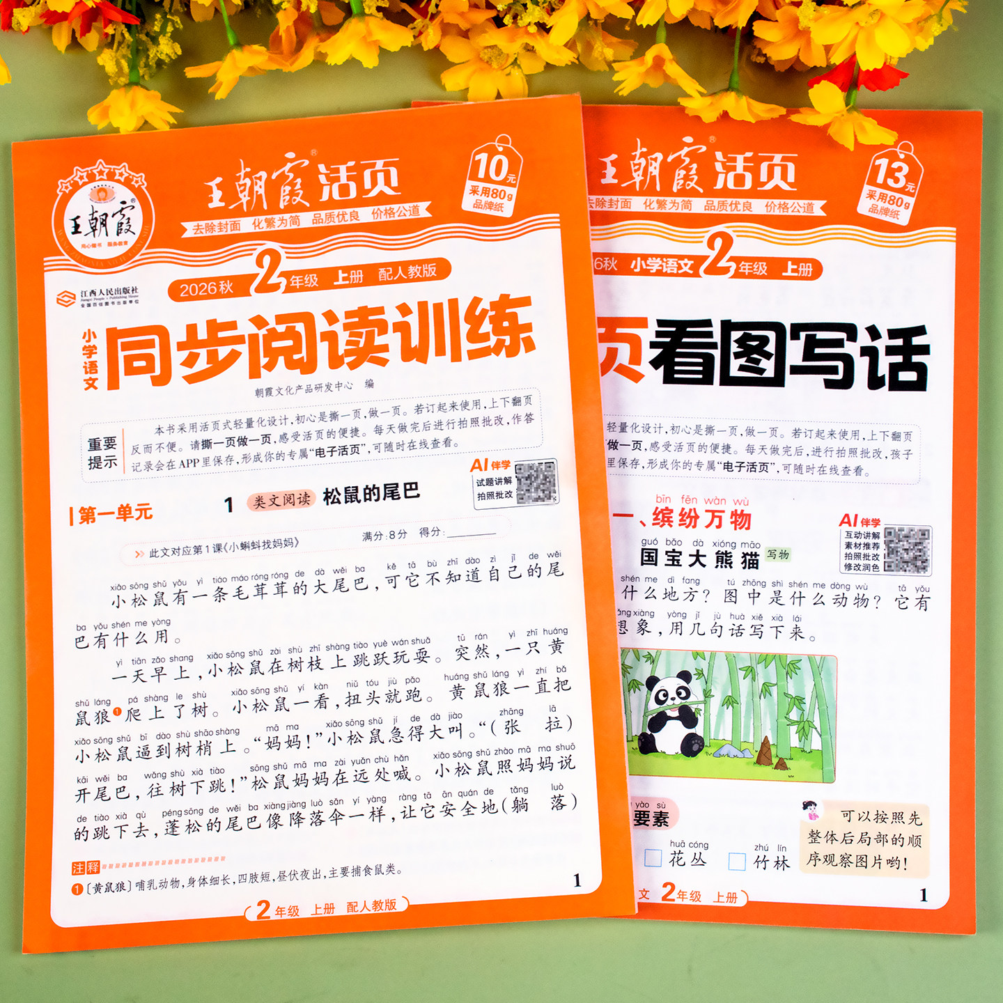 二年级上册下册看图写话和阅读理解专项训练每日一练教材同步作文范文大全阅读理解强化训练专项练习小学2年级课外阅读王朝霞活页